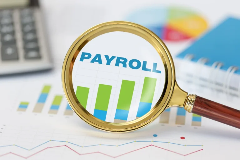 Payroll Services In Burnaby accountant reviewing payroll documents to prevent CRA audit errors